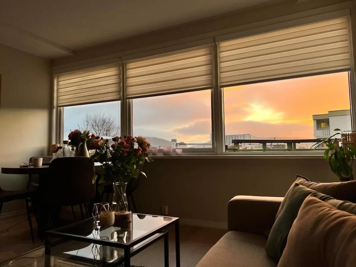 Sea View & Balcony - Top-Floor Apartment Near Old Bergen